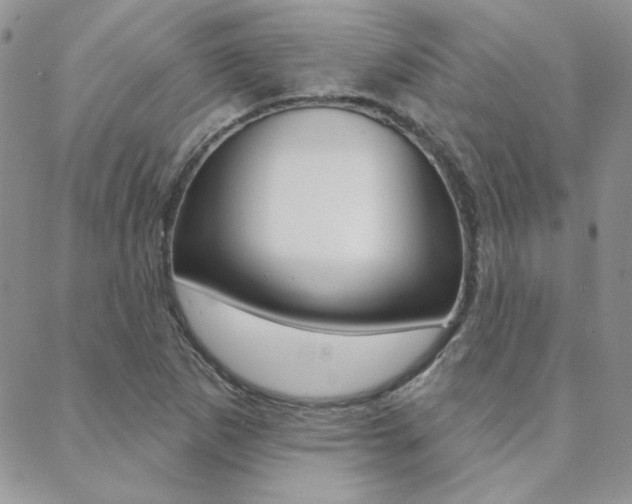 X0000088851265200706080716