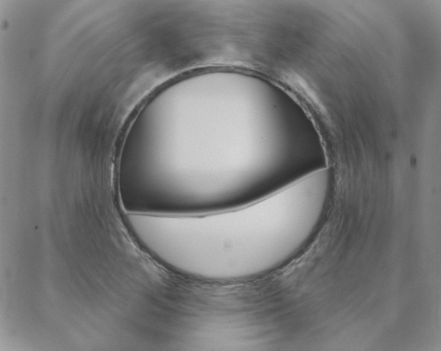 X0000088851268200706080716