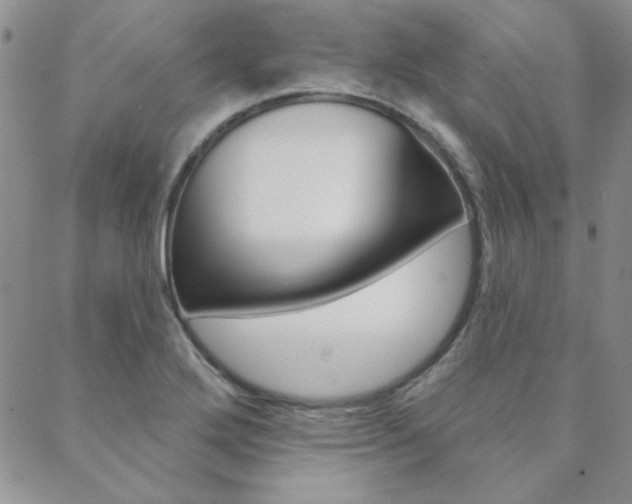 X0000088851272200706080716