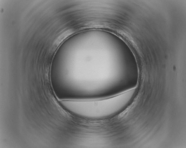 X0000088851273200706080716