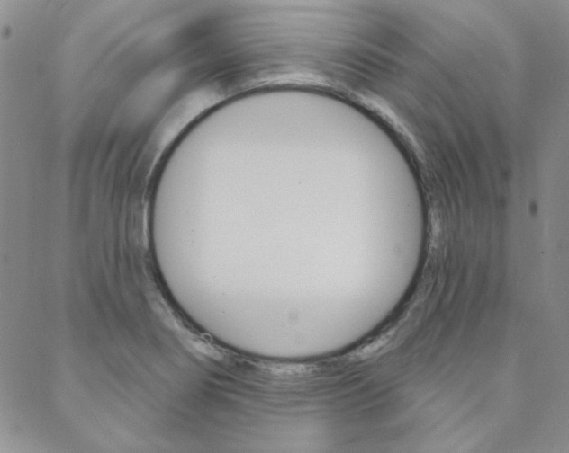 X0000088851274200706080716