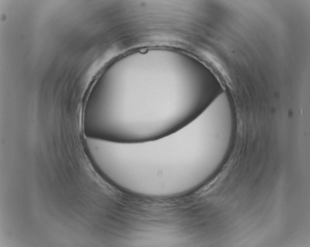 X0000088851275200706080716