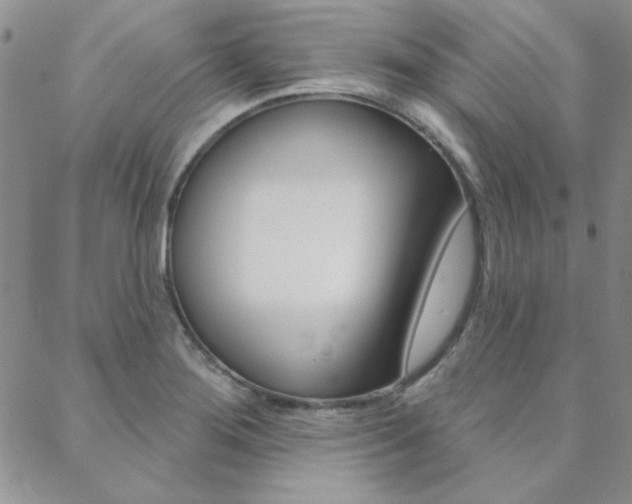 X0000088851276200706080716