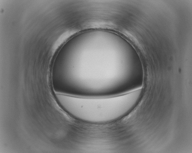 X0000088851277200706080716