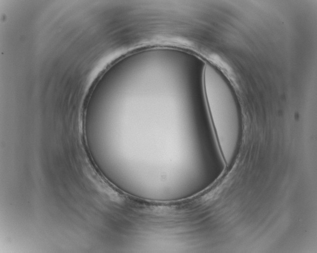 X0000088851280200706080716