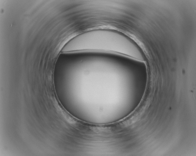 X0000088851281200706080716