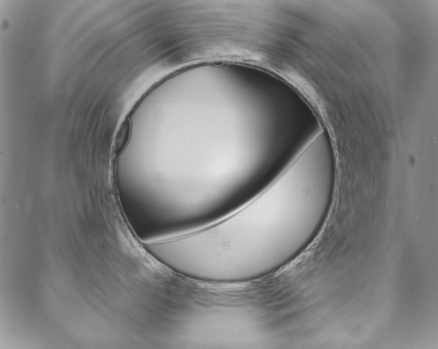 X0000088851296200706080716
