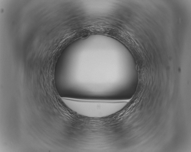 X0000088851297200706080715