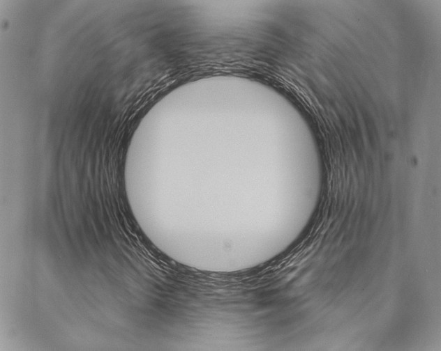 X0000088851298200706080715