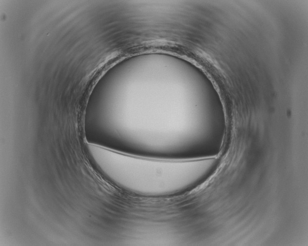 X0000088851305200706080715