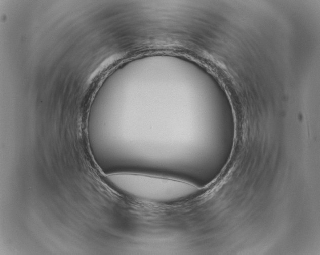 X0000088851306200706080715