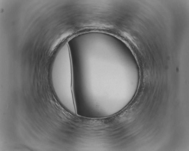 X0000088851307200706080715