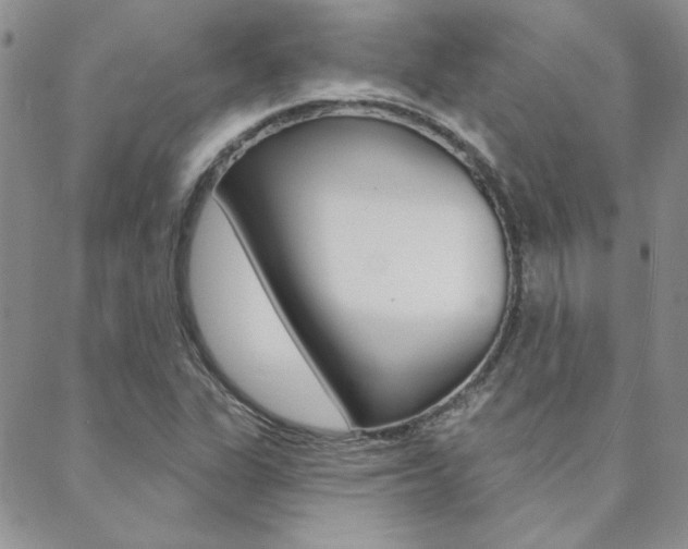 X0000088851311200706080715