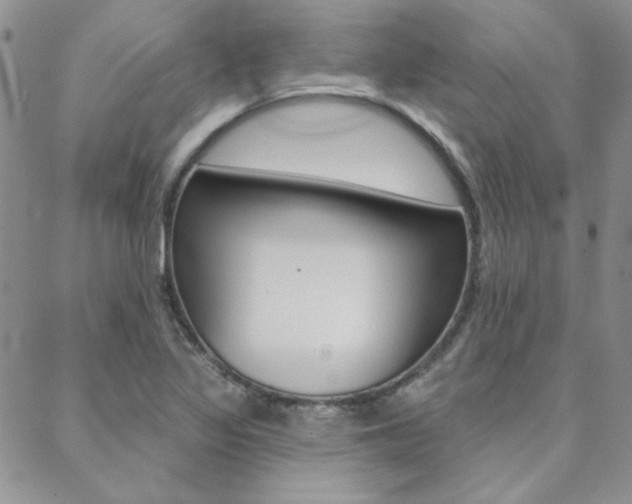 X0000088851317200706080715