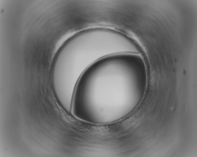 X0000088851320200706080715