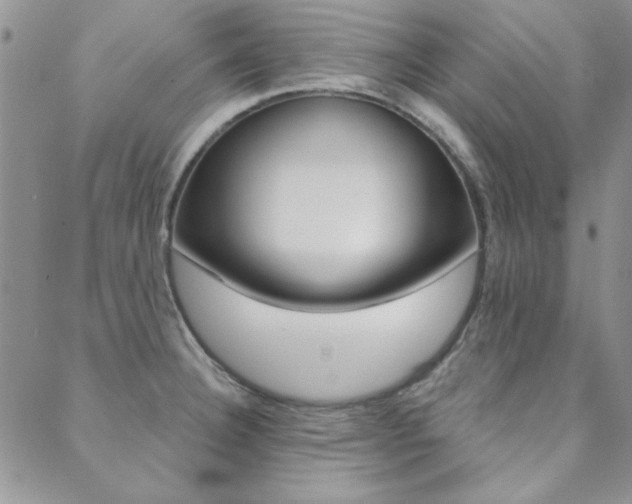 X0000088851332200706080715