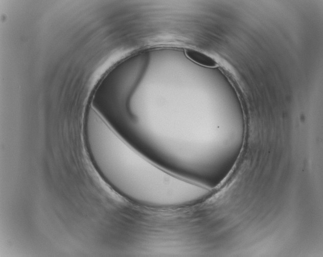 X0000088851333200706080715