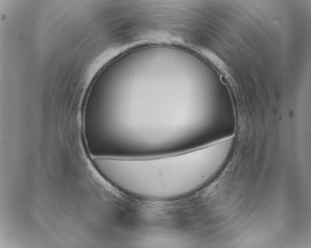 X0000088851335200706080716