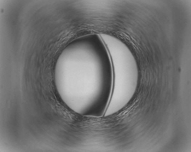 X0000088851345200706080715