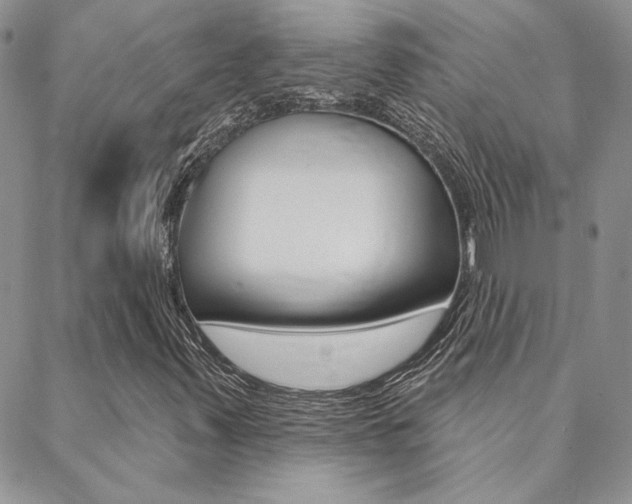 X0000088851347200706080715