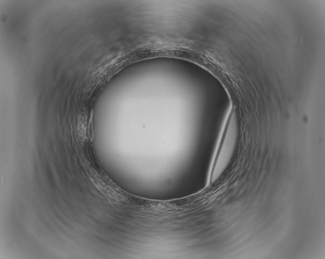 X0000088851348200706080715