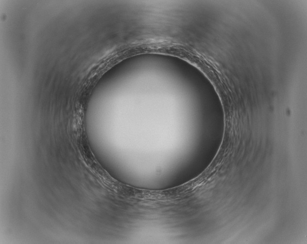 X0000088851349200706080715