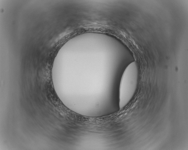 X0000088851350200706080715