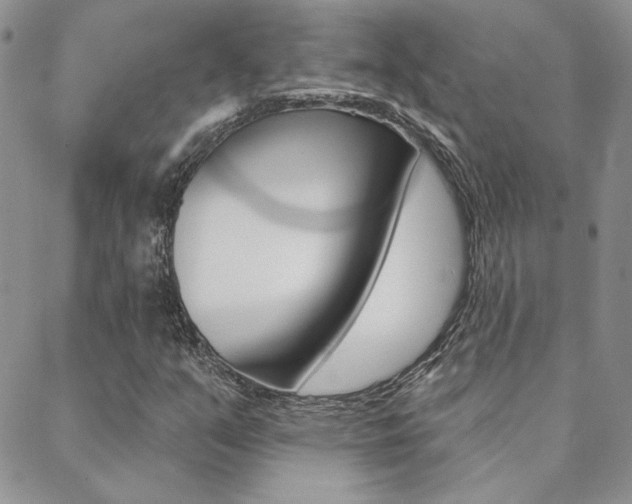 X0000088851351200706080715