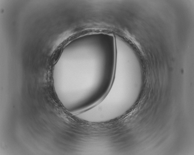 X0000088851352200706080715