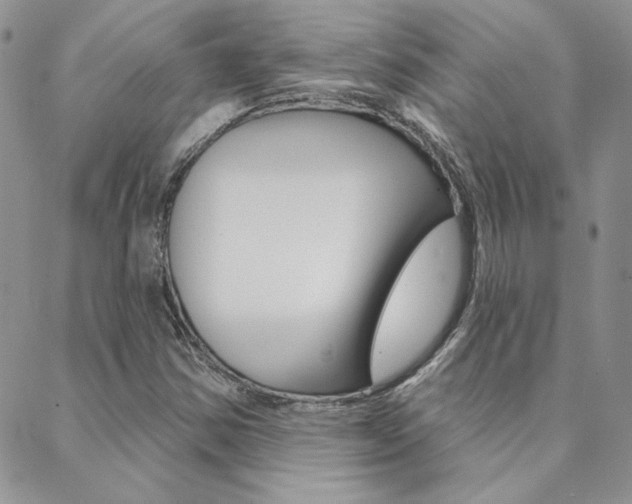 X0000088851354200706080715
