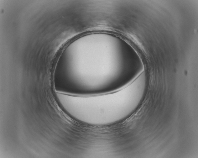 X0000088851356200706080715