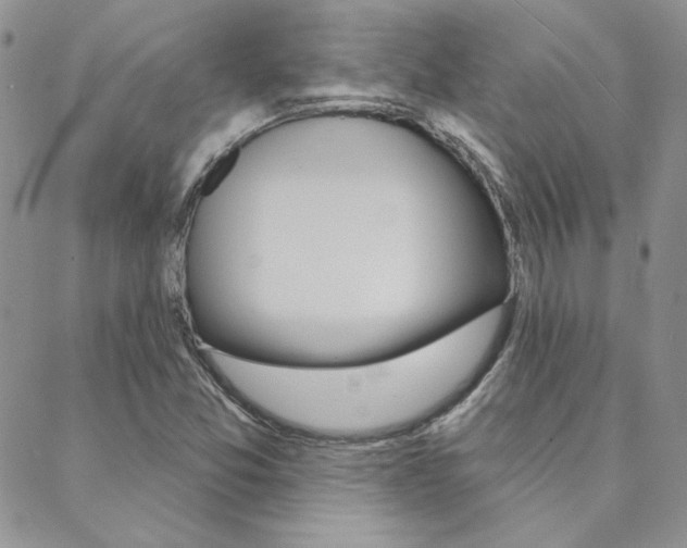 X0000088851357200706080715