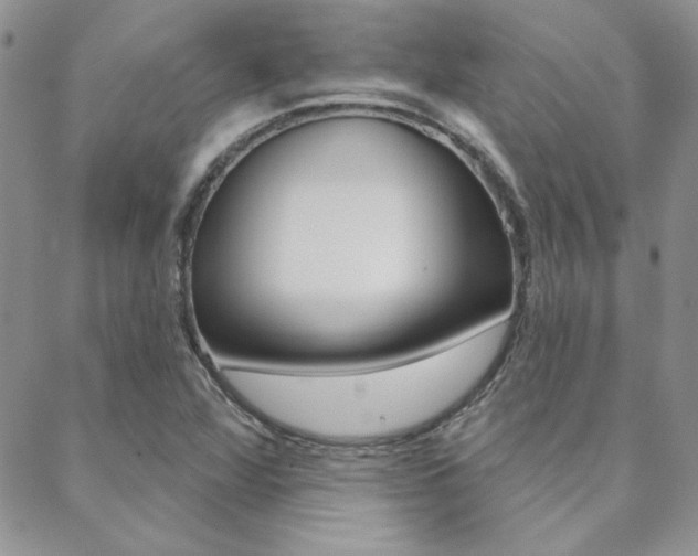 X0000088851360200706080715