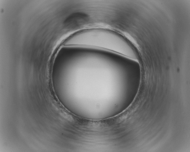 X0000088851364200706080715
