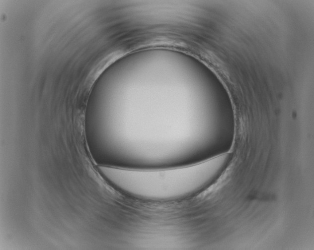 X0000088851369200706080714