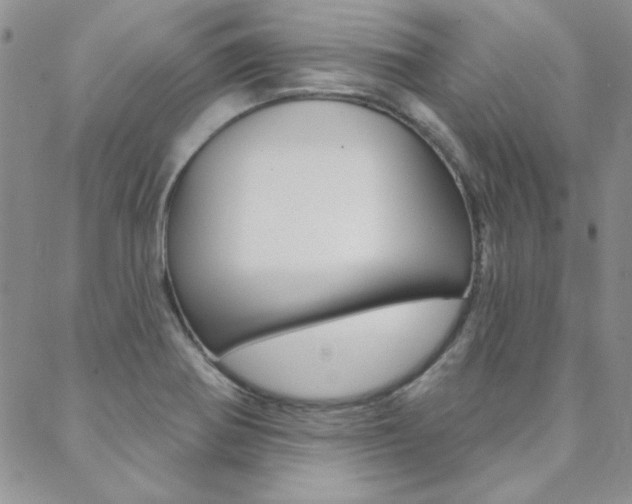 X0000088851370200706080714