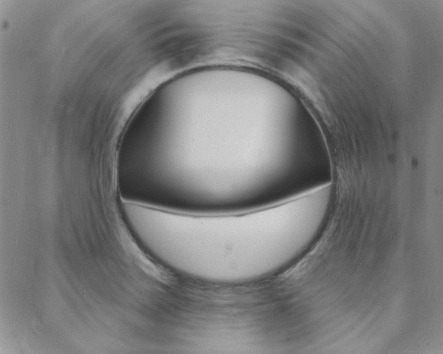 X0000088851371200706080714