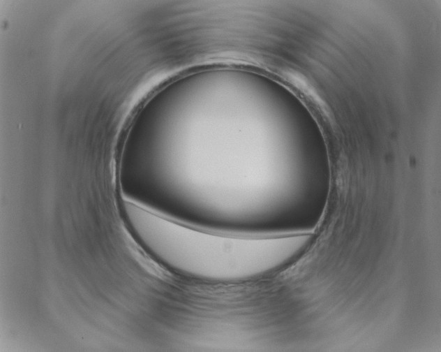 X0000088851372200706080714