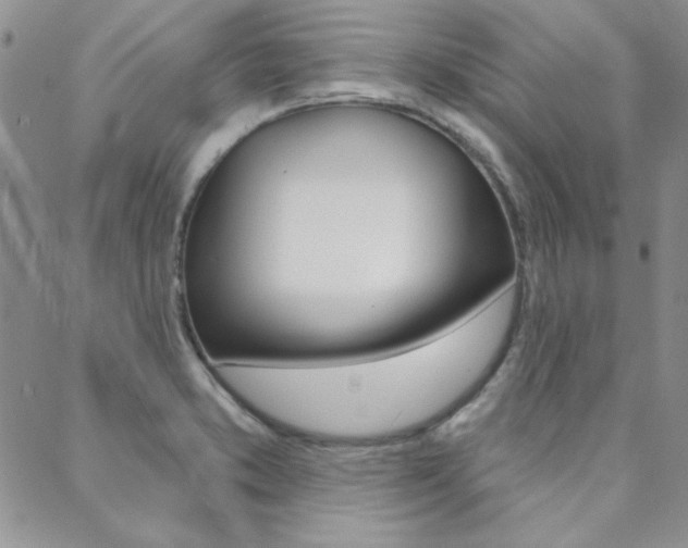 X0000088851373200706080714