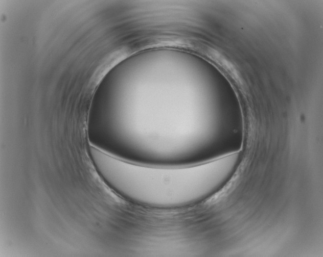X0000088851377200706080714