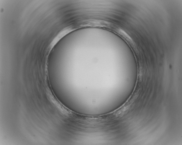 X0000088851378200706080714