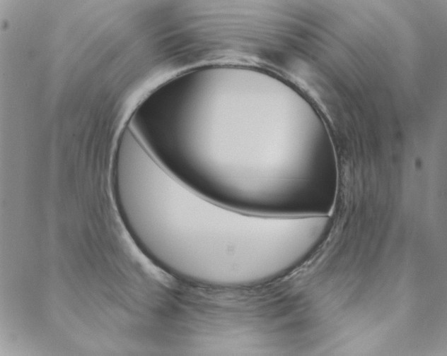X0000088851379200706080714