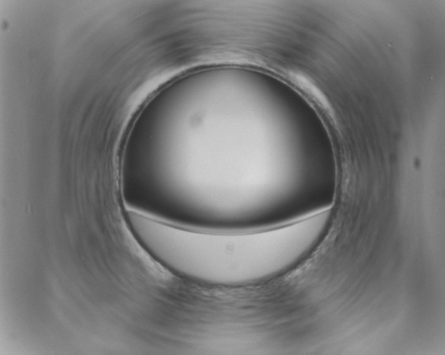 X0000088851380200706080714