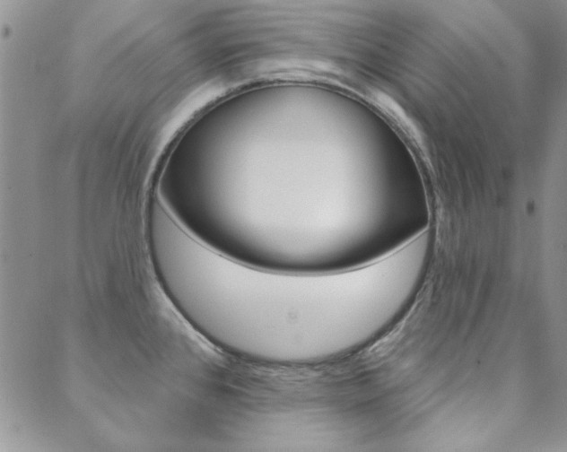 X0000088851384200706080714