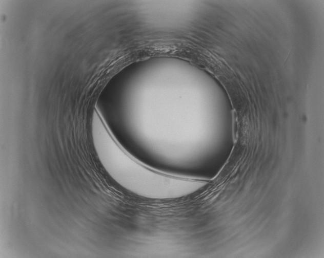 X0000088851394200706080713