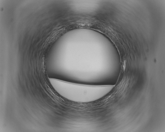 X0000088851396200706080713