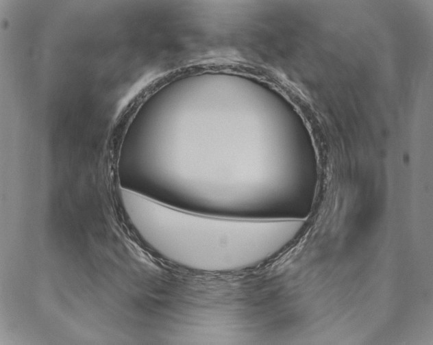 X0000088851400200706080713