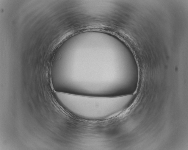 X0000088851401200706080713