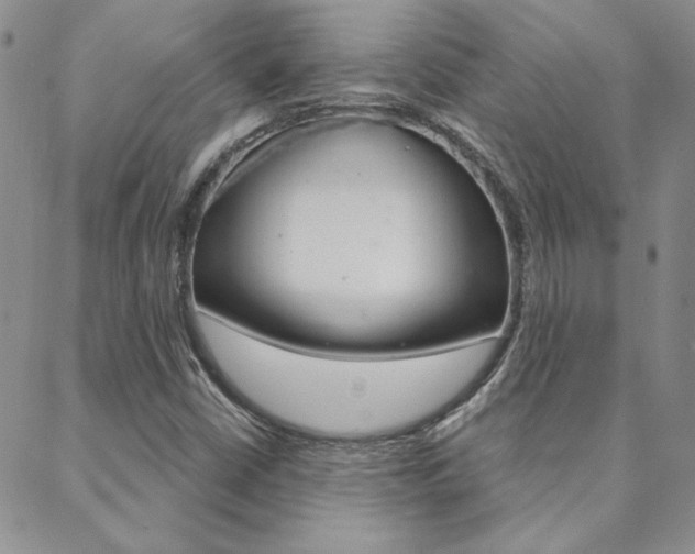 X0000088851402200706080713