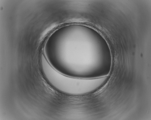 X0000088851406200706080714